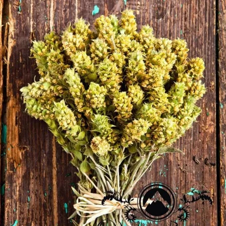 Organic mountain tea, shepherd\-s tea, Greek